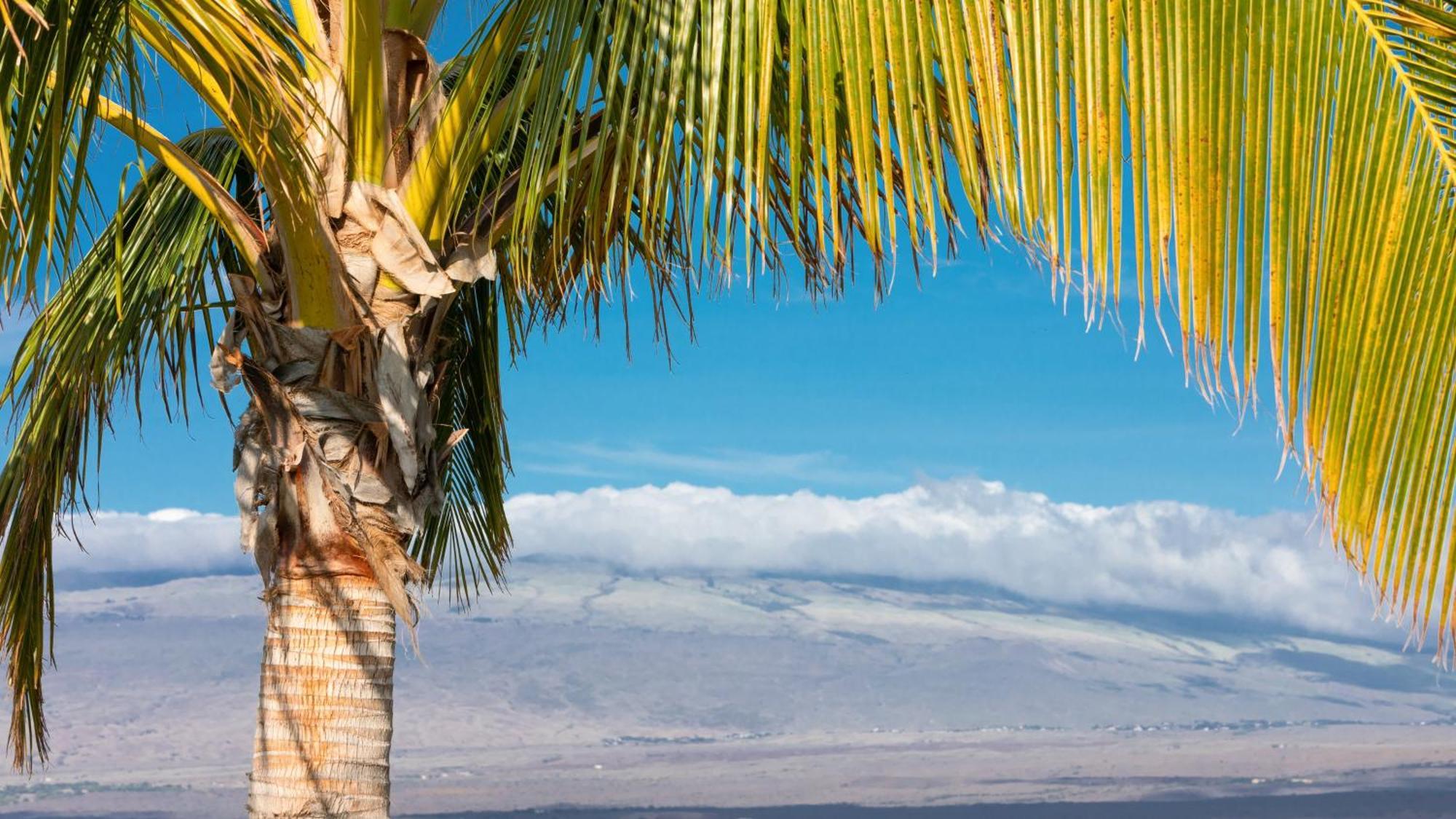 Starry Nights Dreamy 4Br Ainamalu Home With Mountain View Waikoloa Zewnętrze zdjęcie