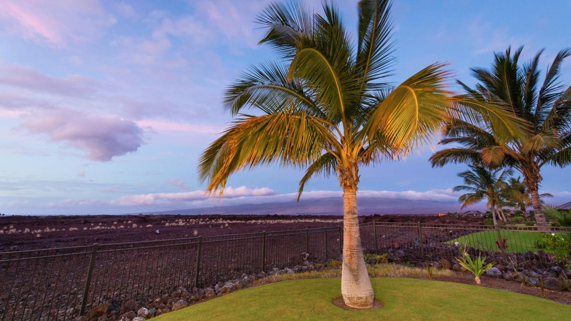 Starry Nights Dreamy 4Br Ainamalu Home With Mountain View Waikoloa Zewnętrze zdjęcie